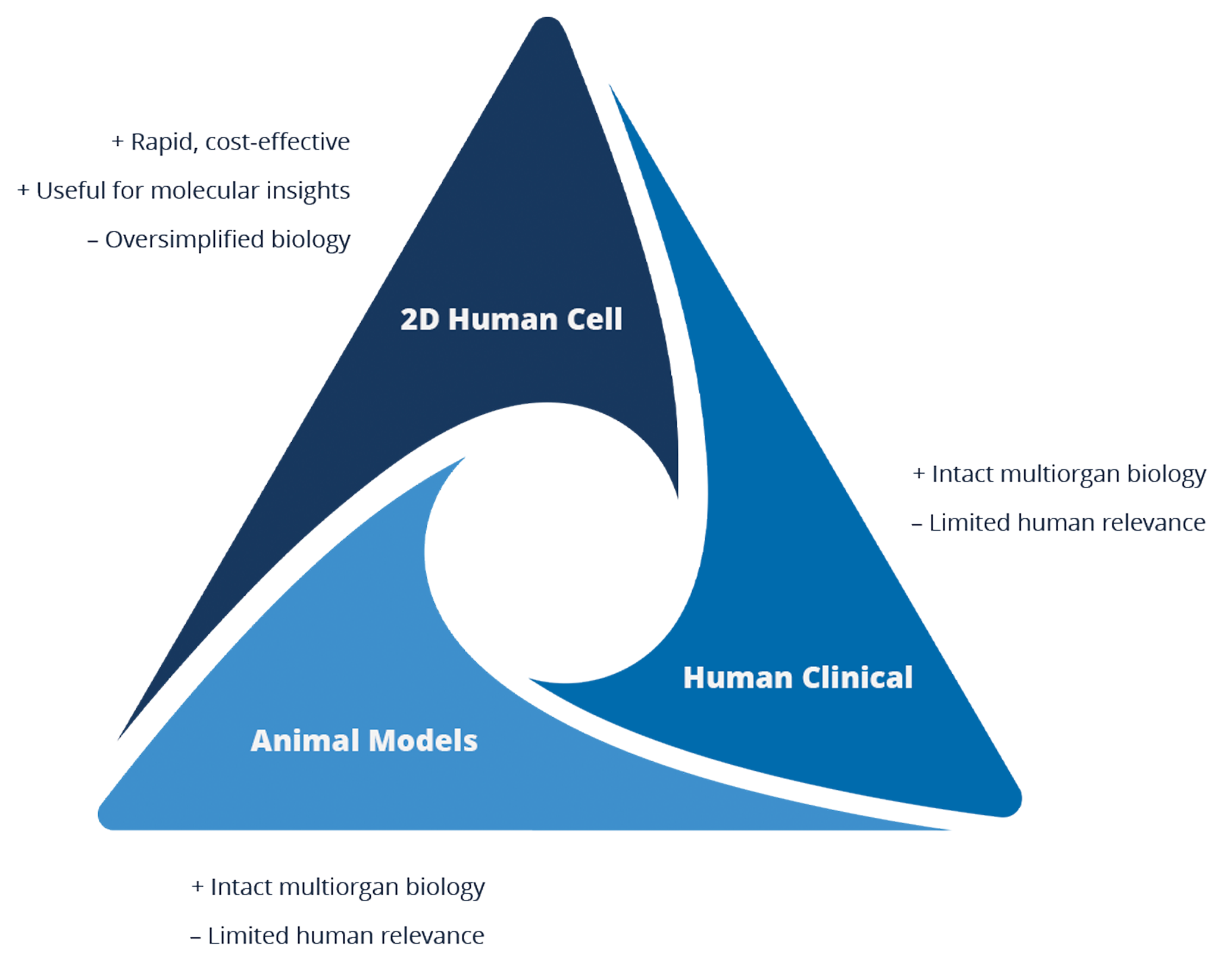 nam-namkind-triangle.graphic