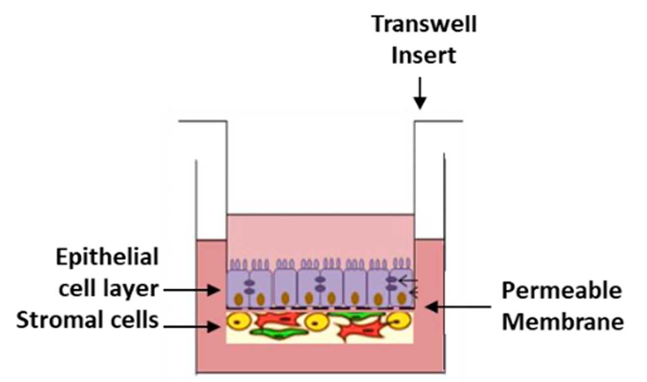 toxicology-services-img-02