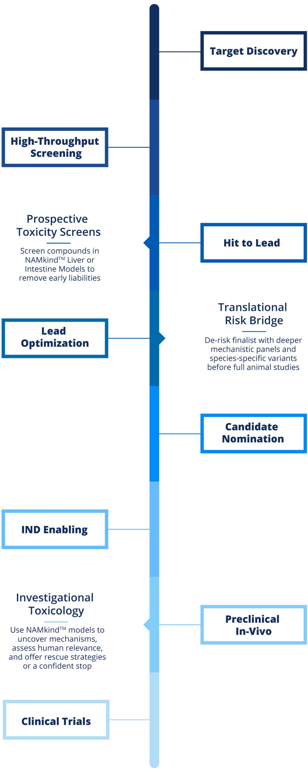 vivosim-home-chart-mobile-03